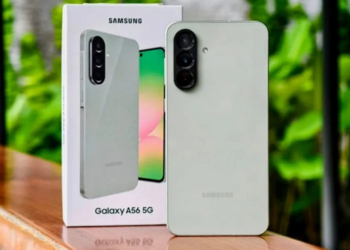 3 HP untuk Editor dengan RAM Besar, Xiaomi 15T hingga Samsung Galaxy A56 5G Bikin Editing Makin Lancar