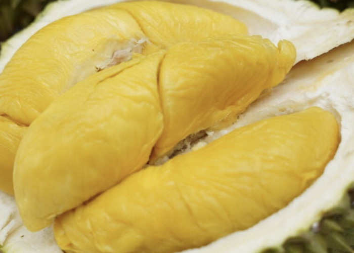 Punya Kompleksitas Rasa, Jenis Durian Ini Creamy di Mulut dan Legit Luar Biasa, Jadi Idola Para Pecinta Duren 