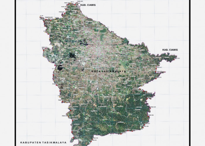 Kecamatan di Kota Tasikmalaya Ini Punya PNS Paling Banyak, Total PNS se-Kota Tasikmalaya Ada 6.005 Orang