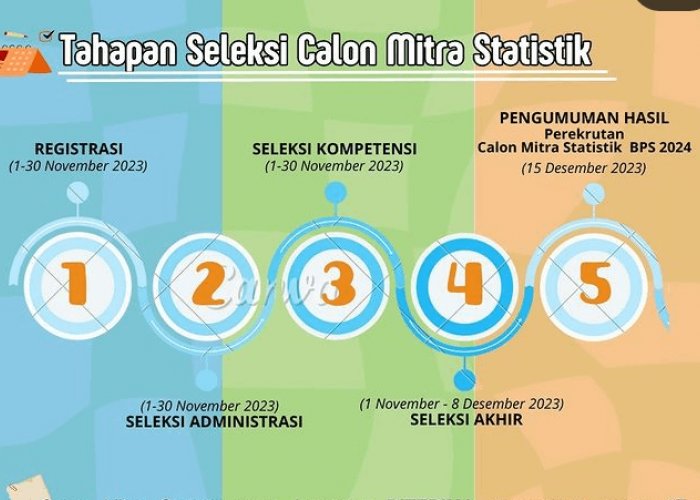 INFO Loker, BPS Kabupaten dan Kota Buka Rekrutmen Calon Mitra Statistik 2024, Ini Link Pendaftarannya
