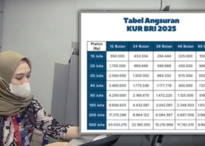 Acuan Cicilan Pinjaman KUR BRI 2025 Mulai Rp 100 Juta, Cara dan Syarat Pengajuan Gampang untuk Pemula!