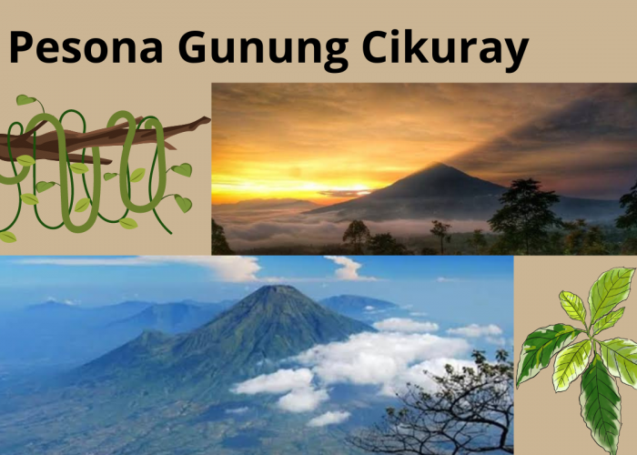 7 Hal Menarik Dari Gunung Cikuray, Gunung Tertinggi Garut yang Jadi Pusat Pertapaan Zaman Kerajaan Sunda