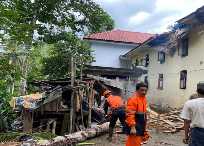 Pohon Kelapa Tumbang Timpa Atap Kobong Pesantren di Kota Tasikmalaya