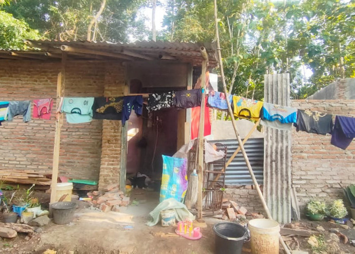Seorang Janda di Kabupaten Pangandaran Tinggal di Rumah Tak Layak Huni, Begini Kondisinya