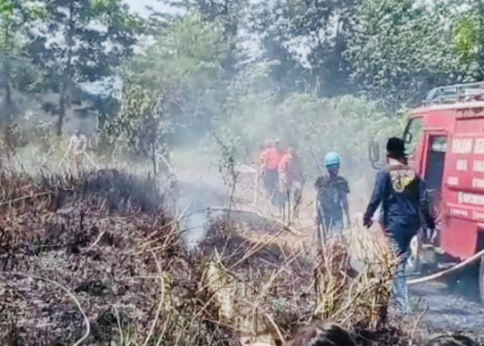 Awas! Jangan Bakar Sampah Sembarangan, Lahan Kosong di Kota Banjar Terbakar