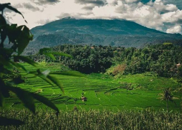 Indahnya Surga Tersembunyi Desa Wisata Bantaragung Kabupaten Majalengka, Cocok Banget Buat Healing Biar Fresh