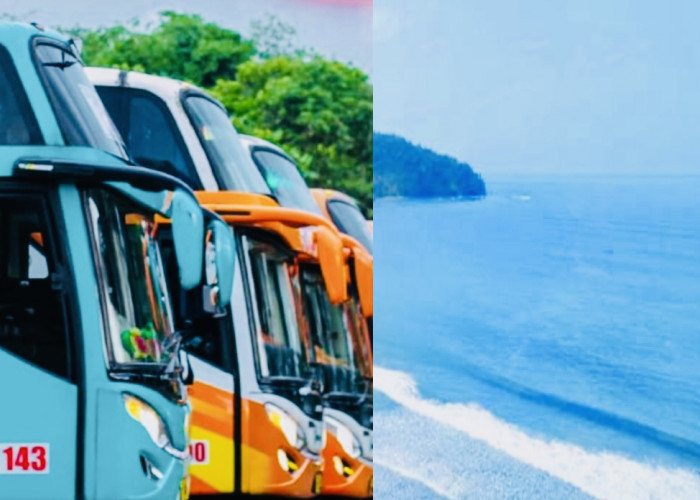 Tiket Murah Beli 1 Dapat 3 Destinasi Wisata di Pangandaran, Naik Bus Pariwisata Aja!