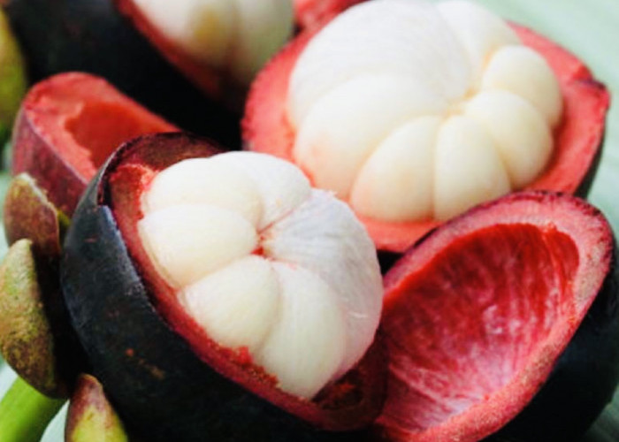Ada ‘Harta Karun’ dari Tasikmalaya Berupa Buah Diberi Nama Queen of Fruit