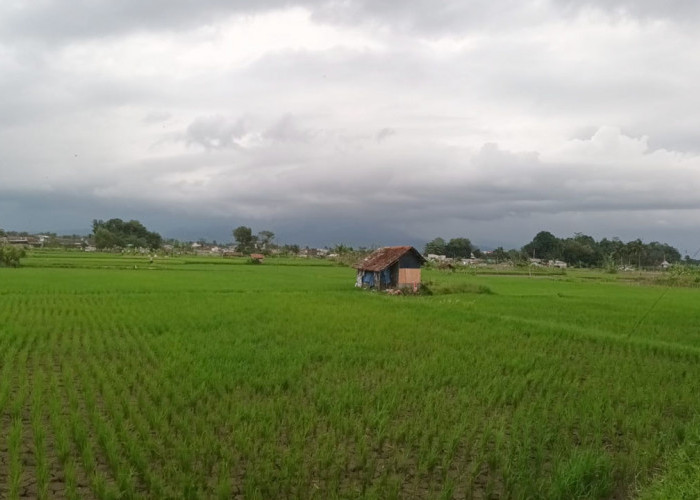 Kementerian PU Buka Rekrutmen Tenaga Pendamping Masyarakat untuk P3TGAI di 12.000 Lokasi