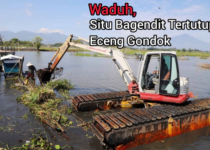 WALAH! 50 Hektar Danau Situ Bagendit Tertutup Eceng Gondok, Bersih-bersih Perlu Waktu 150 Hari
