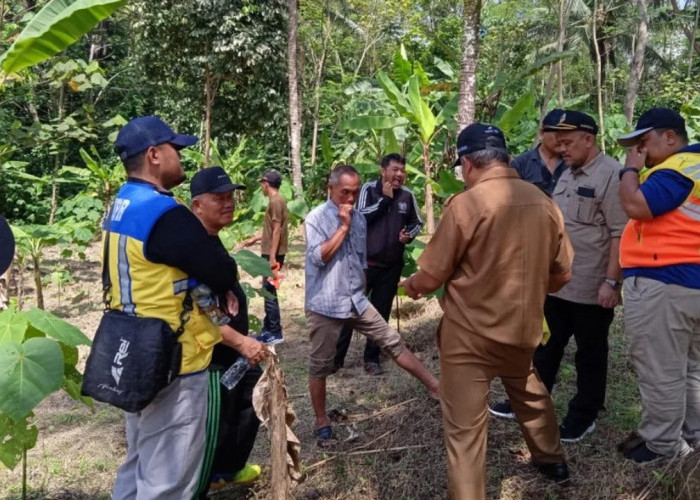 Ini Lokasi Jembatan Cirahong 2 di Kabupaten Tasikmalaya, Pembebasan Lahan Segera Dilakukan