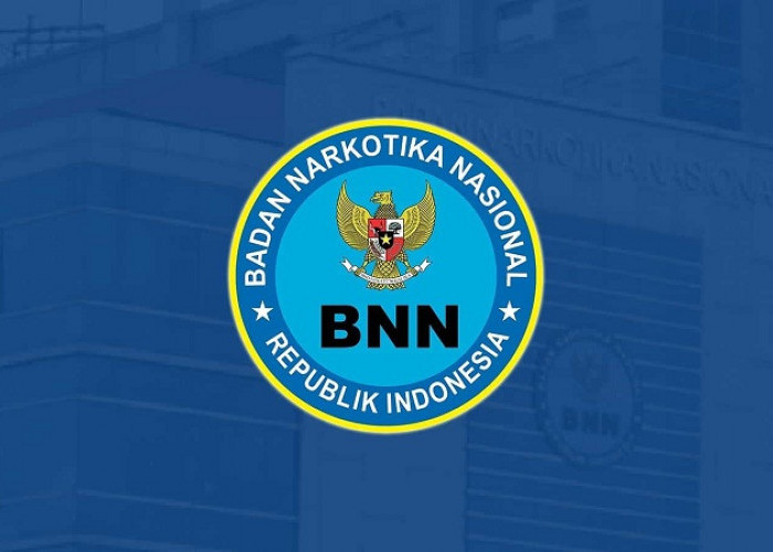 BNN Kota Tasikmalaya Buka Lowongan Kerja Terbaru untuk Posisi Dokter, Yuk Cek Kualifikasi dan Persyaratannya