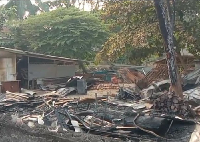 Gudang Penyimpanan Kayu di Rumah Susi Pudjiastuti Terbakar, Begini Kata Satpol PP Kabupaten Pangandaran