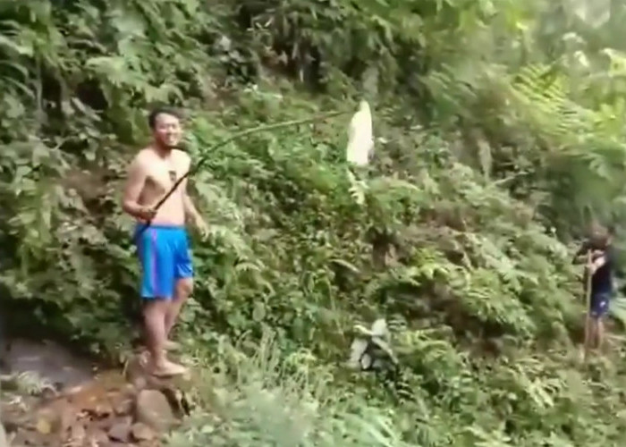 Beredar Video Celana Dalam dan Bra Berserakan di Hutan di Gunung Sanggabuana, Ada Mitos Buang Sial