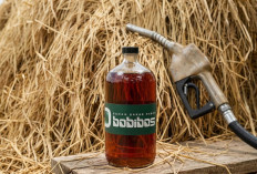 Bahan Bakar Alternatif: Ditjen Migas Arahkan Uji Teknis Klasifikasi Bobibos