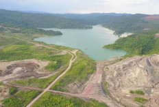 Besaran Denda Pelanggaran Tambang Terbaru, Nikel Tertinggi Rp 6,5 Miliar Per Hektare