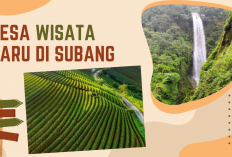 7 Desa Wisata Baru di Subang 2026, dari Sawah Asri hingga Pemandian Air Panas Alami
