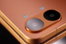 Beda Harga Tipis, Mana Lebih Worth It? Ini Perbandingan Poco X8 Pro vs Pro Max