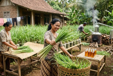 Serai Wangi dari Pekarangan Jadi Cuan, Ini Cara Cerdas Memulai Usaha Rumahan yang Menjanjikan