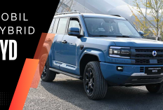 BYD Siap Bawa Mobil Hybrid ke Indonesia, Solusi Paling Realistis di Tengah Minimnya SPKLU