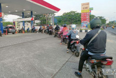 Istana Pastikan Harga BBM Belum Naik, Dasco Minta Masyarakat Tidak Antre dan Menimbun