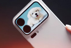 Begini Gambaran Awal Flagship Baru Xiaomi yang Mulai Terkuak, Cek Bocorannya!