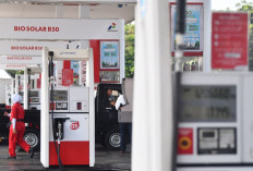 Segini Harga B50 di SPBU, Pertamina Siap Jalankan Mandatori BBM Biosolar