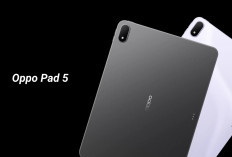 Membidik Pengguna Profesional, Oppo Pad 5 Tampil Percaya Diri lewat Performa Tinggi dan Layar Presisi