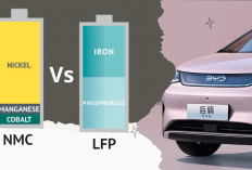 Adu Daya Tahan Baterai LFP vs NMC pada Mobil Listrik Saat Terendam Banjir 30 Cm