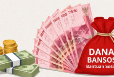 Cara Cek Bansos PKH Juli 2026, Simak Jadwal Pencairan, Besaran Bantuan dan Langkah Cek lewat HP