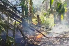 Dua Lahan di Kota Banjar Terbakar, Petugas Damkar Kesulitan Capai Titik Api