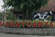 Intip Kisah Desa Banyuanyar, Desa Ramah Lingkungan yang Terus Maju Lewat Pemberdayaan Desa BRILiaN