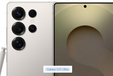 Puluhan HP Terbaik Februari 2026: Mulai Rp1–Rp20 Jutaan, Layak Dibawa Mudik