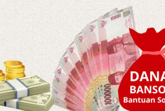 Panduan Cara Cek DTSEN Pakai NIK KTP untuk Pastikan Status Penerima Bansos 2025