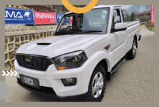 Pickup Mahindra dari India Tiba di Indonesia untuk Koperasi Desa Merah Putih, Siap Distribusikan 1.000 Unit