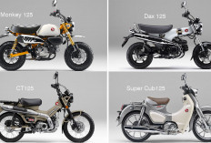 Honda Bersiap Luncurkan Warna Baru Monkey 125, Dax 125, CT125, Super Cub C125, hingga X-ADV