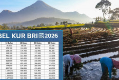 KUR BRI Aliri Sawah Rakyat, Cek Tabel Angsuran Per Bulan