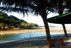 Surga Tersembunyi di Jawa Tengah: Ini 7 Tempat Wisata Kebumen Populer 2026