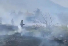 90 Kebakaran Terjadi Selama Juli di Garut, Mayoritas Landa Lahan Saat Musim Kemarau