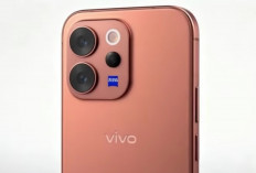 Vivo V70 Elite, Flagship Elegan dengan Layar Super Terang dan Performa Andal