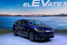 5 Mobil Listrik 7-Seater Murah Juli 2026, Harga Mulai Rp319 Jutaan, Cocok untuk Keluarga