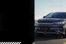 BYD Great Tang Debut 5 Maret! SUV Segmen D dengan Bodinya Bongsor dan Tenaga Tangguh