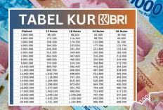 Pinjaman KUR BRI 2025 Mulai Rp 1 Juta, Ini Skema Tabel Angsuran, Syarat, dan Cara Cairnya