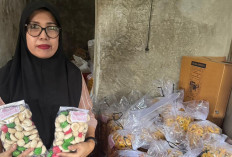 Dari Dapur Sederhana, Perempuan Tangguh Ini Sukses Kembangkan Usaha Kue dan Banjir Pesanan Berkat Dukungan BRI