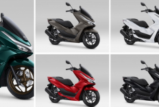 Resmi Debut di IIMS 2026! Honda PCX 160 Terbaru 2026 Tampil Makin Mewah, Ini Daftar Warna dan Fitur Barunya