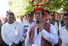Mentan Amran Minta Harga Beras Stabil, Bulog Diminta Jaga Stok