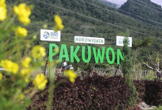 Lewat Program Desa BRILiaN, Pajambon, Kuningan Jadi Contoh Transformasi Ekonomi Desa Berbasis Potensi Lokal