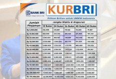 Simulasi Tabel KUR BRI 2026 Pinjaman hingga Rp100 Juta, Cek Cara Ajukan Pencairannya!