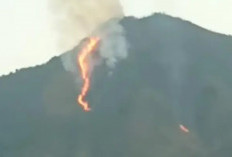 Asap Tebal Muncul di Gunung Guntur, Tim Gabungan Berhasil Tekan Penyebaran Kebakaran Lahan