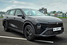 VinFast Luncurkan Mobil Listrik VF MPV 7, Tawarkan Skema Baterai Fleksibel